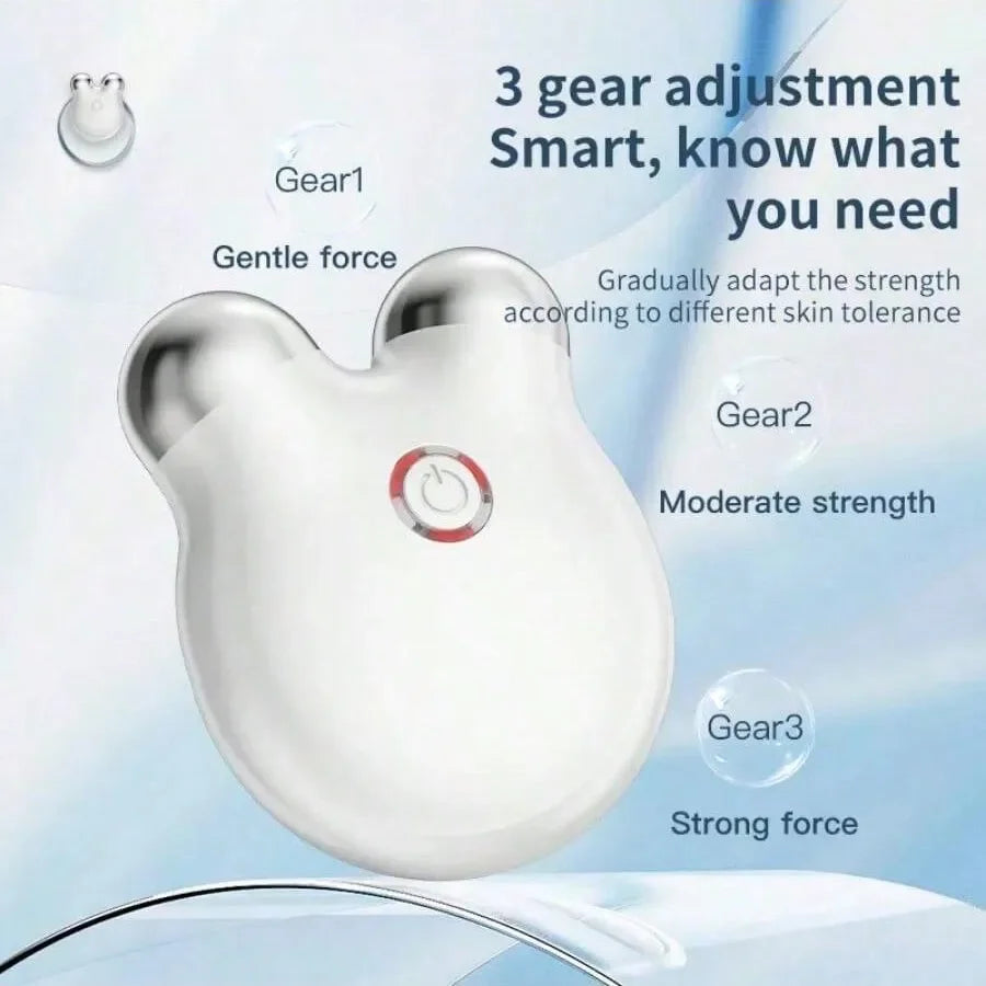 Portable Electric Face Lift Roller Massager EMS Microcurrent Vibration Facial Lifting Skin Tighten Massage Beauty Devices