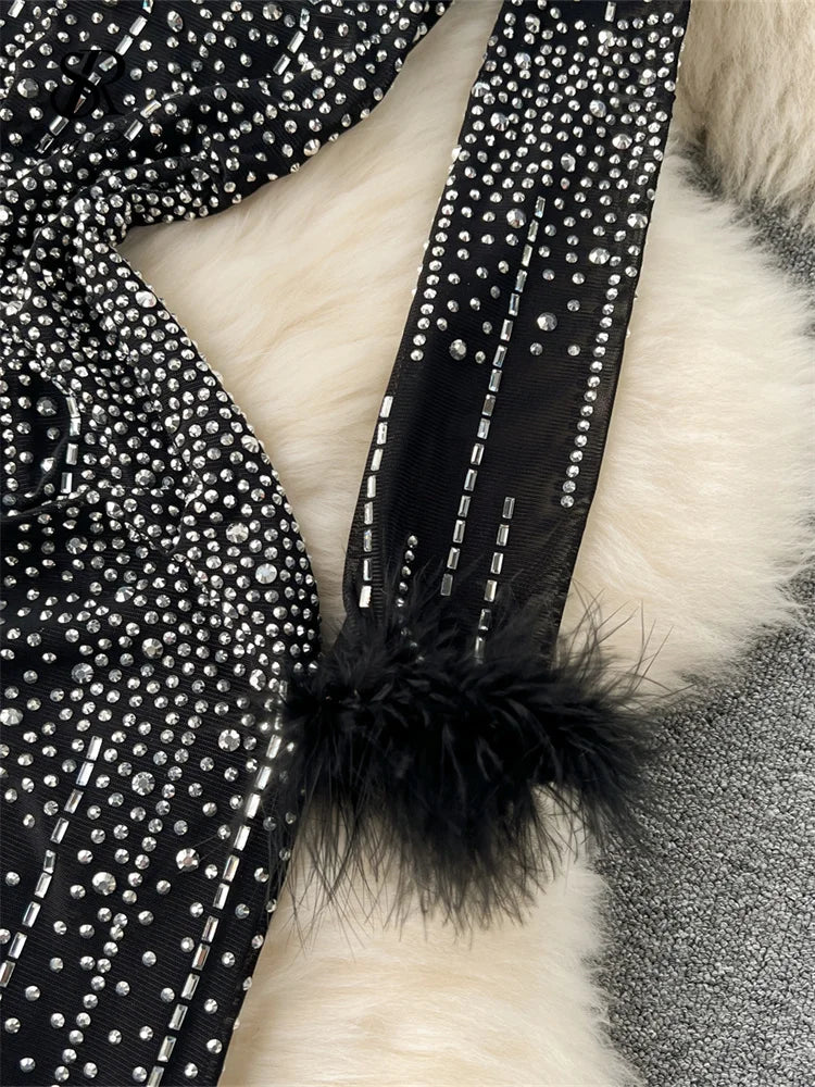 SINGREINY 2024 New Fashion Bodycon Long Dress Europen O Neck Long Sleeve Feather Female Senior Mesh Transparent Diamonds Dress
