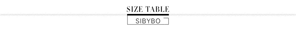 Sibybo Black Lace Long Dress For Women Sleeveless Hollow Out High Slit Bodycon Evening Dresses Sexy Slim Party Vestidos