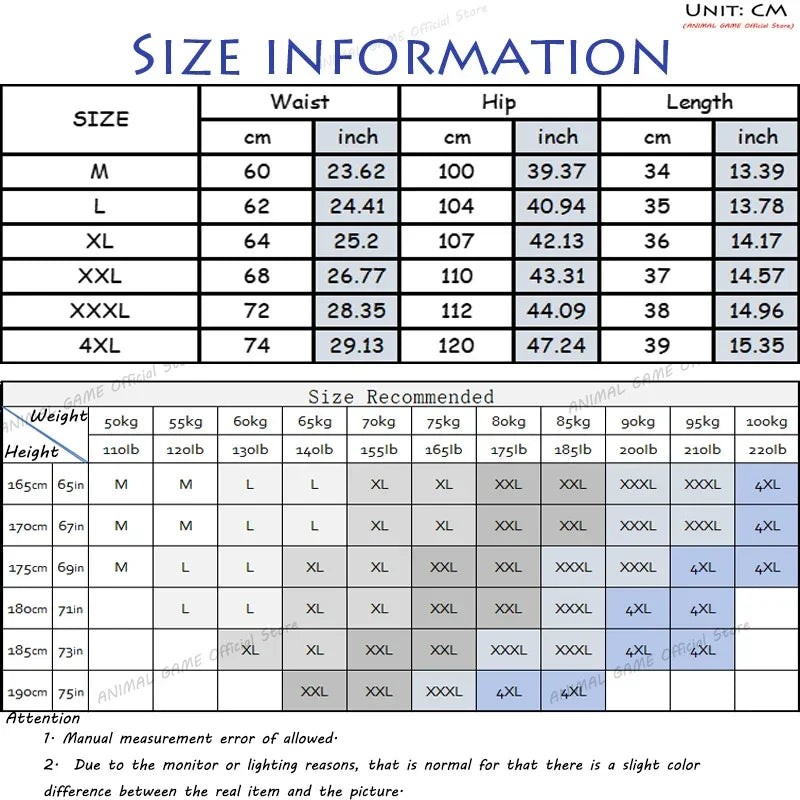 Summer Men's Shorts with Zip Pocket Quick-Drying Sports Trousers Lightweight Breathable Sports Shorts Casual Streetwear