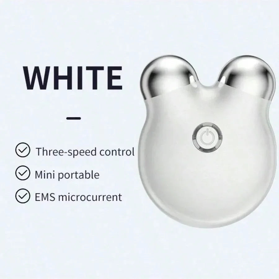 Portable Electric Face Lift Roller Massager EMS Microcurrent Vibration Facial Lifting Skin Tighten Massage Beauty Devices