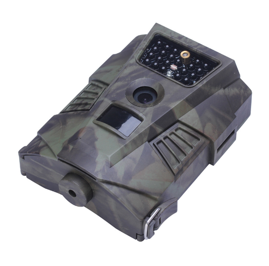 235270031-1