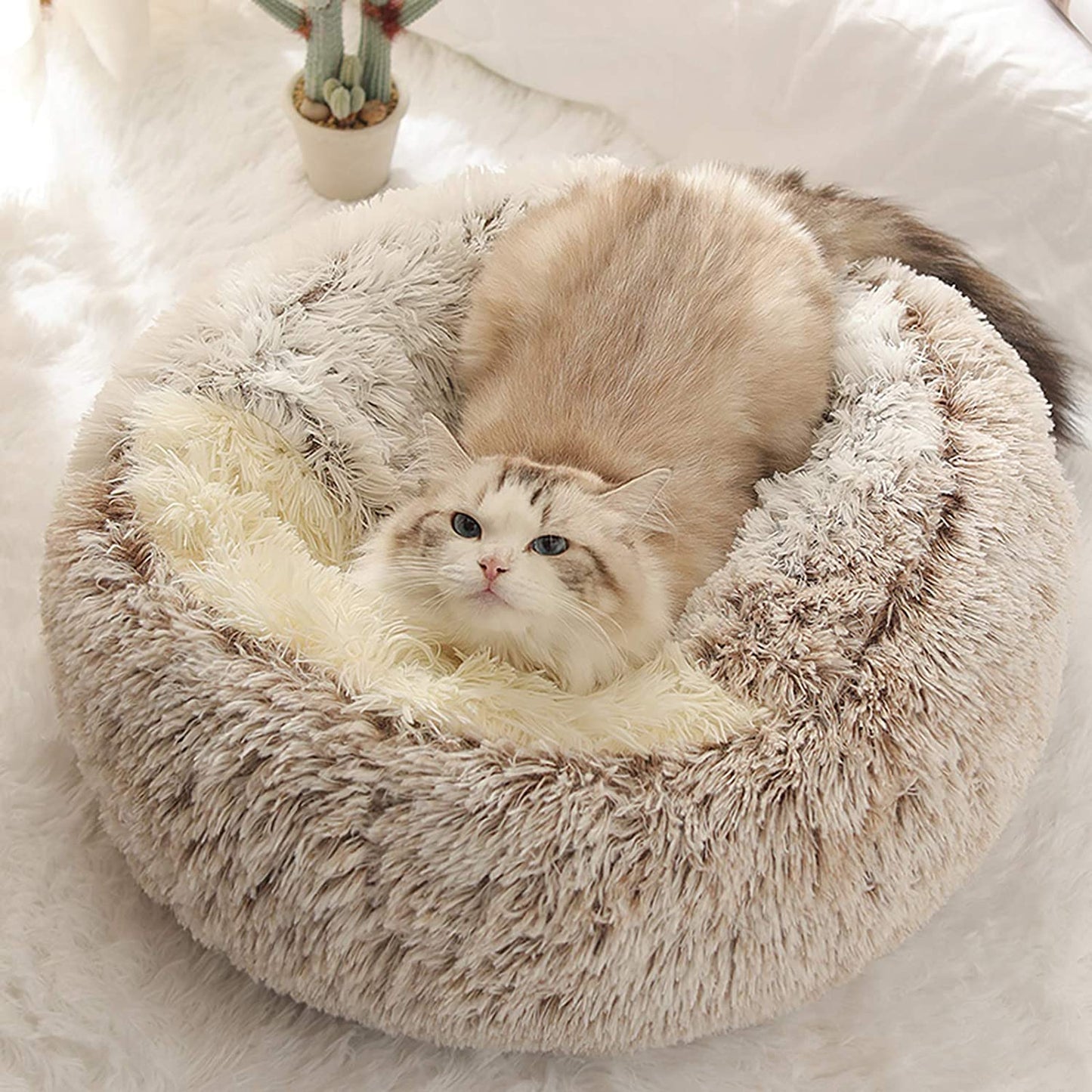 Warm Winter Lodge-Style: Plush 2-in-1 Cat Nest & Bed for Cozy Comfort