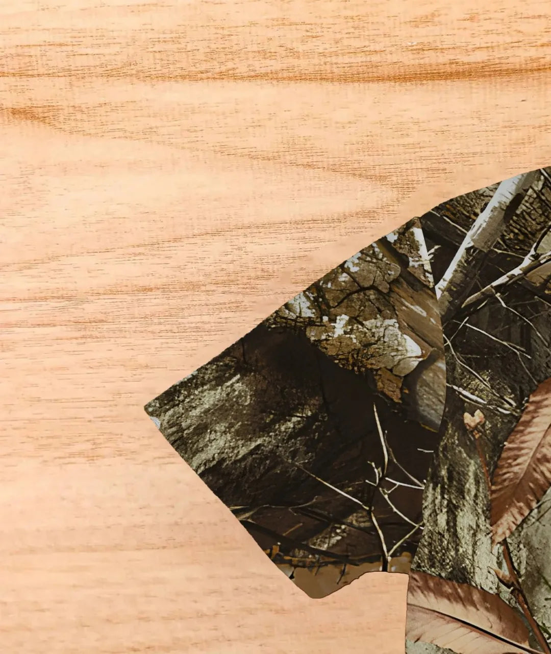 2025 Summer new men's set 3D printed Camouflage Hunting 3d Printed T-shirt Outdoor T-shirt Hip Hop casual fashion men's set