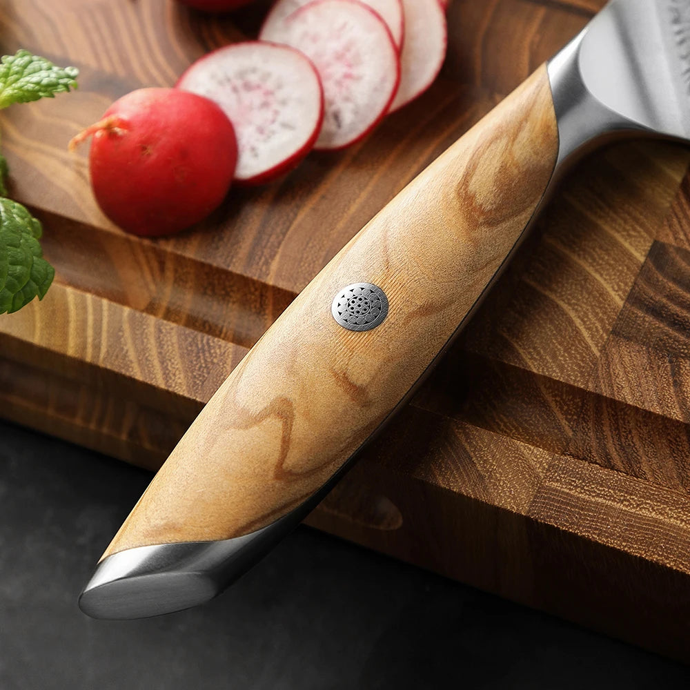 HEZHEN Flagship Series 4 Inch Paring Knife Japanese Style Kitchen Peeling Knife 73 Layer Damascus Powdered Steel Cutlery
